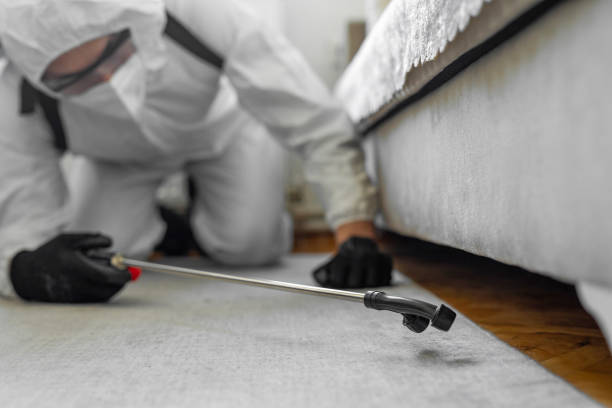 Professional Cockroach Control technician working in Chisholm, ME