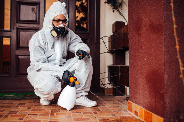 Reliable Cockroach Control contractor in Chisholm, ME by Nex Pest Control
